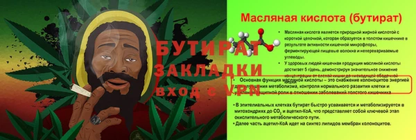 ПСИЛОЦИБИНОВЫЕ ГРИБЫ Вяземский