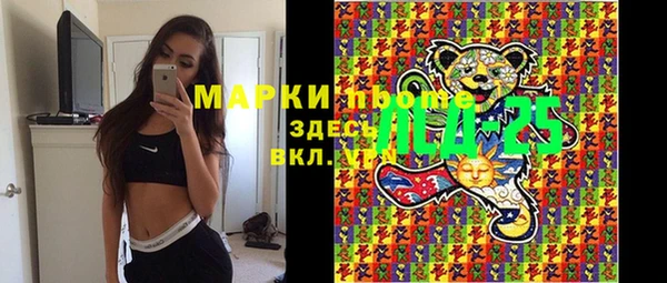 ПСИЛОЦИБИНОВЫЕ ГРИБЫ Вяземский