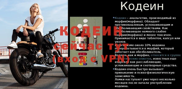 ПСИЛОЦИБИНОВЫЕ ГРИБЫ Вяземский