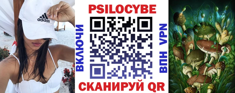 Галлюциногенные грибы Magic Shrooms  mega ссылки  Дубовка  цена  