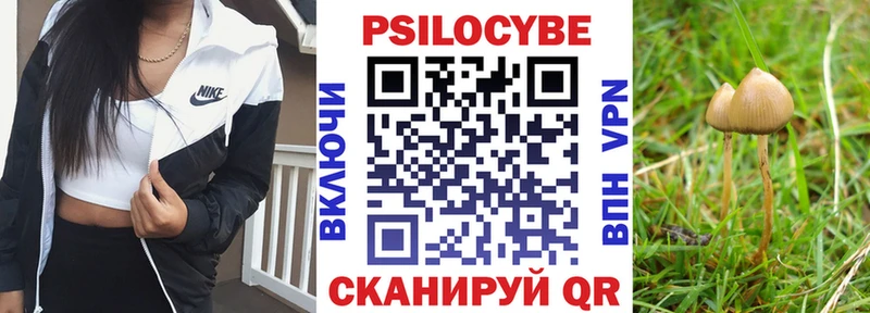 Галлюциногенные грибы MAGIC MUSHROOMS Дубовка